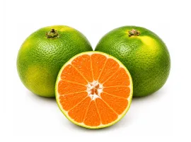 Mandarino Satsuma Bio | Acquista Frutta Fresca su Panierebio.com