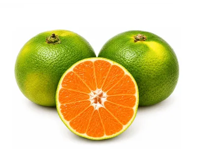 Mandarino Satsuma Bio | Acquista Frutta Fresca su Panierebio.com