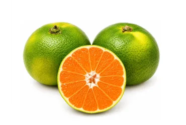 Mandarino Satsuma Bio | Acquista Frutta Fresca su Panierebio.com