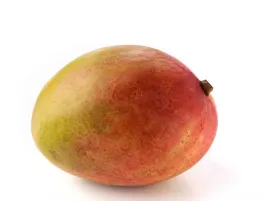 Mango Siciliano Biologico in Vendita Online | Paniere Bio