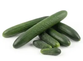Cetrioli Siciliani Biologici | Acquistali su Panierebio.com