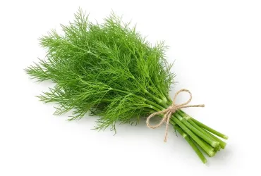 Finocchietto naturale bio