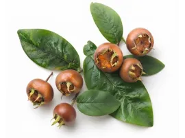 Nespole Siciliane Bio | Bontà Infinita | Provale su Panierebio.it
