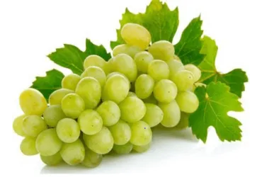 Uva Bianca Italia Biologica
