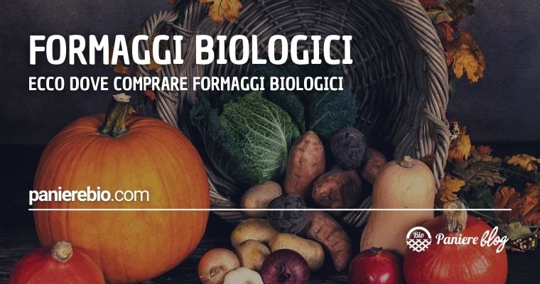 Formaggi biologici: ecco dove comprare formaggi biologici
