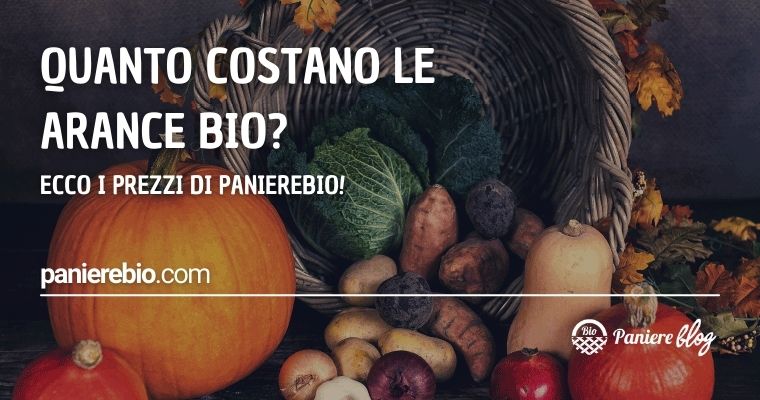 Quanto costano le arance bio? Ecco i prezzi di PaniereBio!