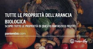 Proprietà dell'arancia biologica