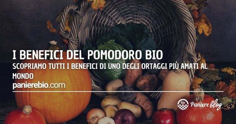 Le proprietà e i benefici del pomodoro biologico