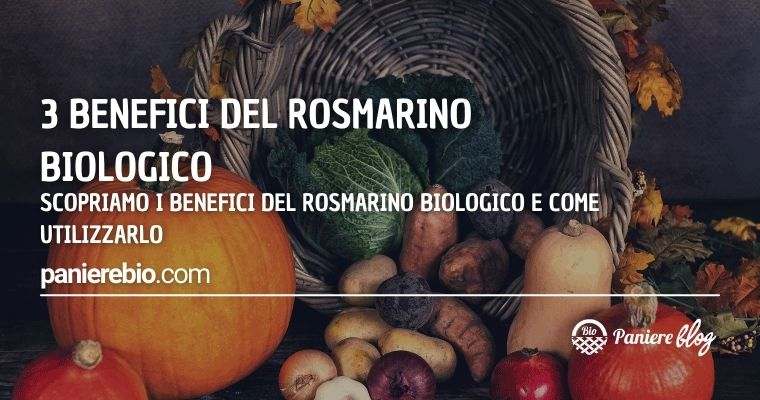 Vediamo quali sono i benefici del rosmarino biologico e come usarlo