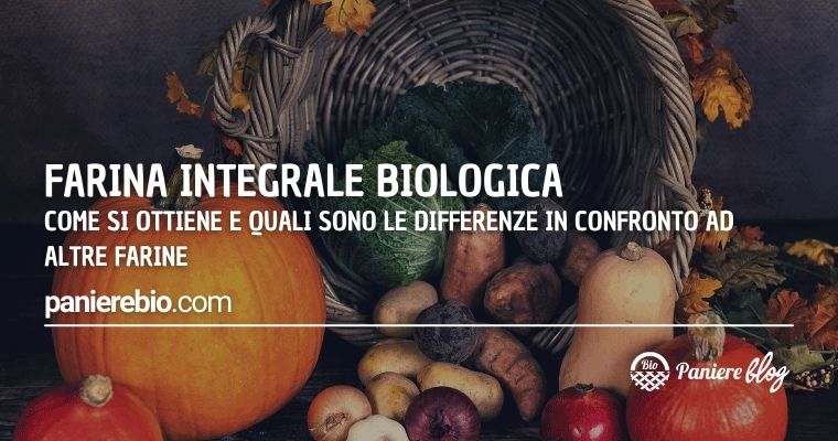 Come si ottiene la farina bio integrale e qual'è la differenza con la farina classica?