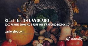 Le ricette con l'avocado