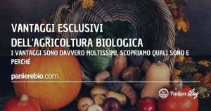 Vediamo quali sono i vantaggi della coltivazione bio