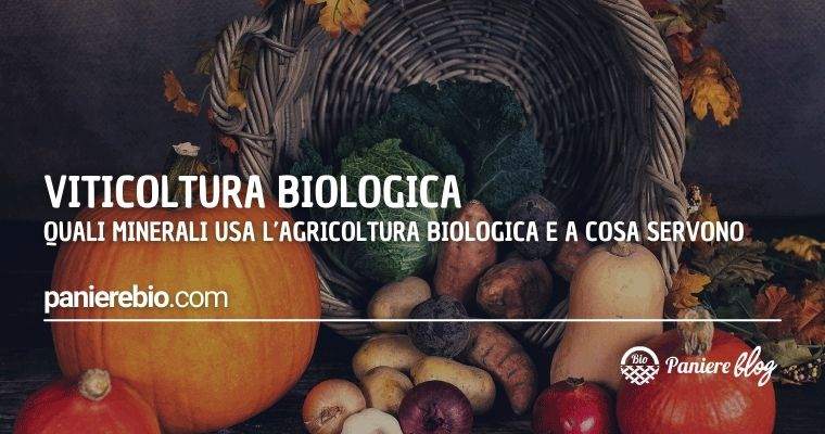 Quali sali minerali si usano nella viticoltura bio e a cosa servono?