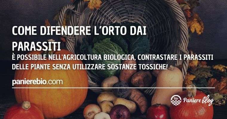 In che modo si possono contrastare i parassiti nell'agricoltura biologica?