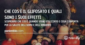 Il glifosato: che cosa è, per cosa si usa e i suoi effetti quali sono?