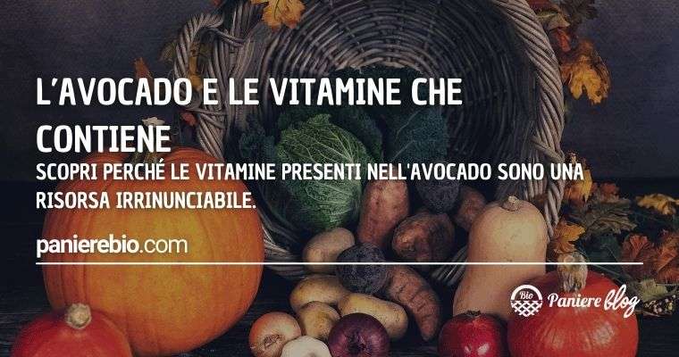 Scopri perché le vitamine presenti nell'avocado sono un toccasana per la salute.