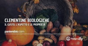 Le clementine biologiche: caratteristiche e proprietà.
