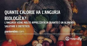 Quante sono le calorie dell'anguria biologica? Perché aiuta a dimagrire?