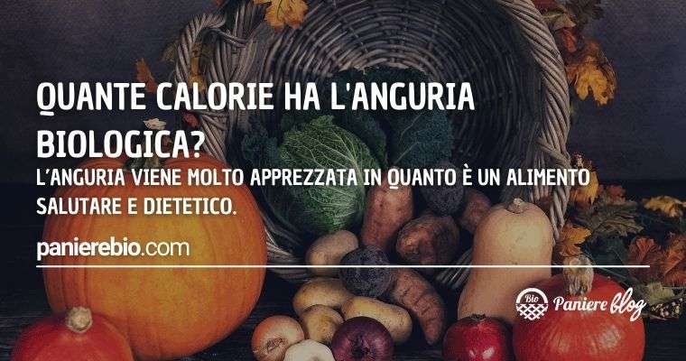 Quante sono le calorie dell'anguria biologica? Perché aiuta a dimagrire?