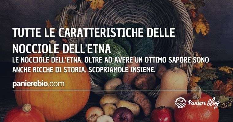 Tutte le caratteristiche delle nocciole dell'Etna patrimonio genetico siciliano.