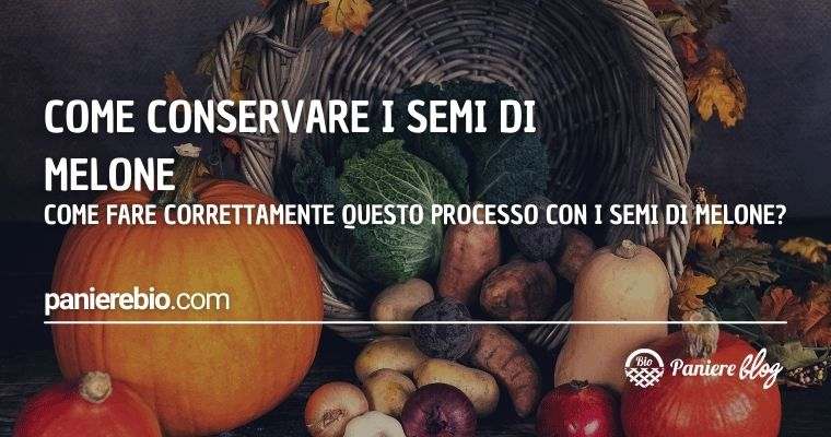 Qual è il modo corretto per conservare i semi di melone?