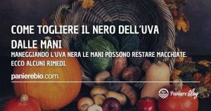 Alcuni rimedi per smacchiare le mani dal nero dell'uva.