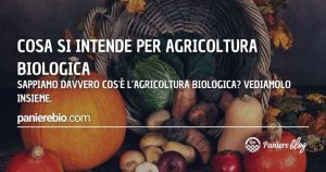 Ecco in che cosa consiste praticare agricoltura biologica