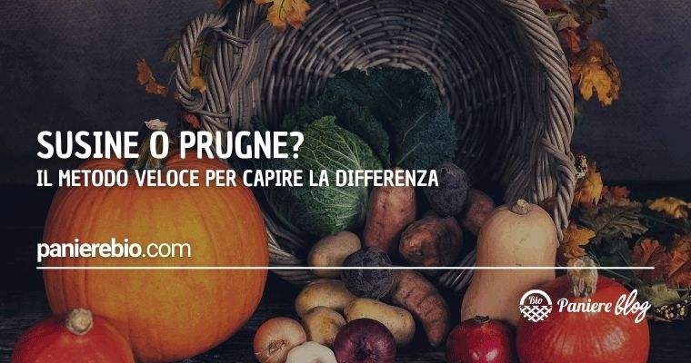 Metodo veloce per capire le differenze tra susine e prugne.