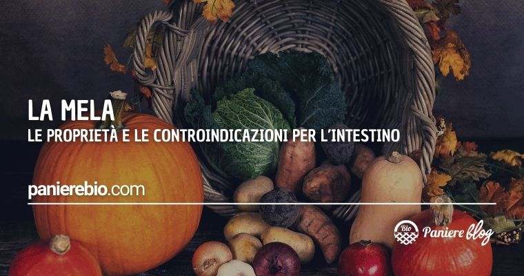 Le proprietà e le controindicazioni della mele.