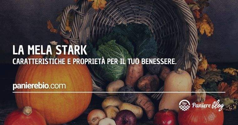 Tutte le proprietà benefiche e le caratteristiche della mela Stark.