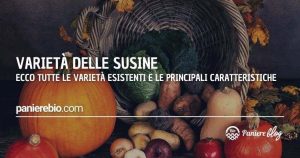 Le varietà esistenti di susine e le rispettive caratteristiche.