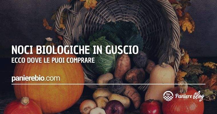 Ecco dov'è possibile acquistare le noci bio in guscio