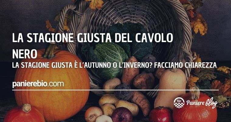 Qual è la stagione giusta per consumare il cavolo nero?