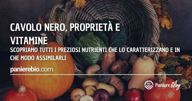 Proprietà e vitamine del cavolo nero: come assimilarle.