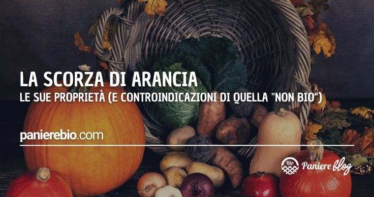 Le proprietà della scorza di arancia e le controindicazioni di quella non bio.