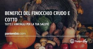 I benefici per la salute del finocchio crudo e cotto