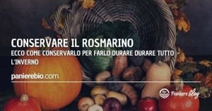 Ecco come conservare il rosmarino per farlo durare tutto l'inverno