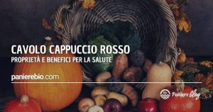 Il cavolo cappuccio rosso e le sue proprietà e benefici