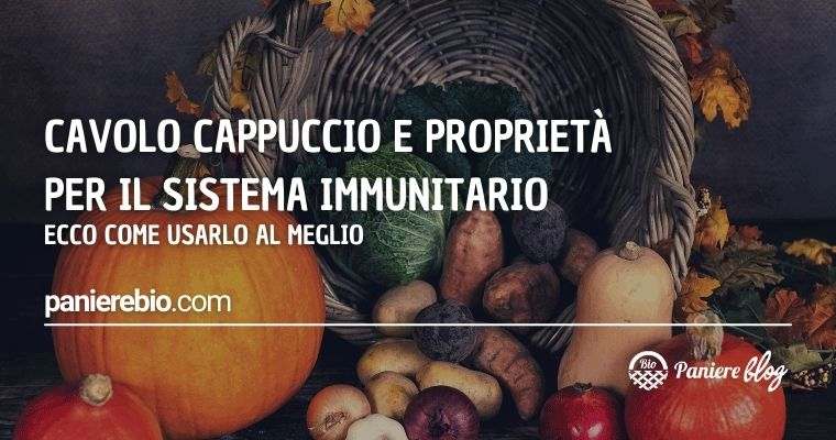 Ecco come usare al meglio il cavolo cappuccio e le sue proprietà