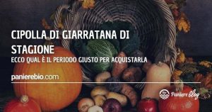 Ecco quando acquistare la cipolla di Giarratana di stagione