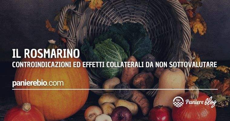 Le controindicazioni e gli effetti collaterali del rosmarino