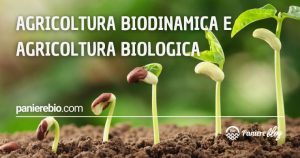 qual è la differenza tra agricoltura biologica e biodinamica