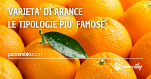 principali varietà di arance in commercio