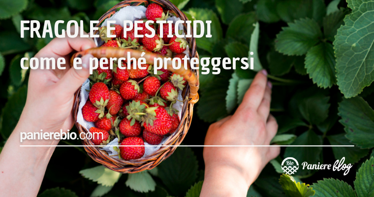 fragole e pesticidi come comportarsi