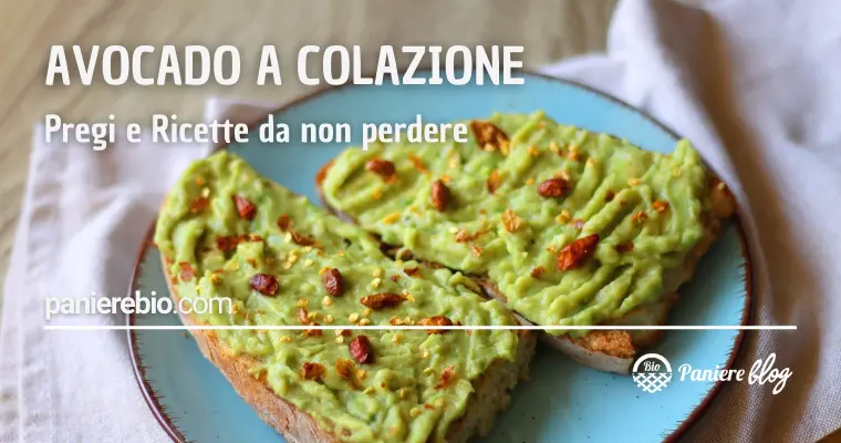 avocado a colazione ricette e salubrità