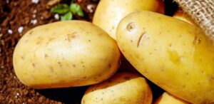 come conservare le patate