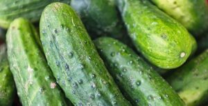 cetrioli biologici
