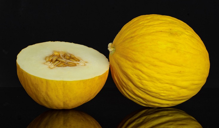 ricetta gelato con melone gialletto bio