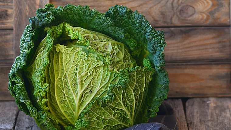 cavolo verza benefici