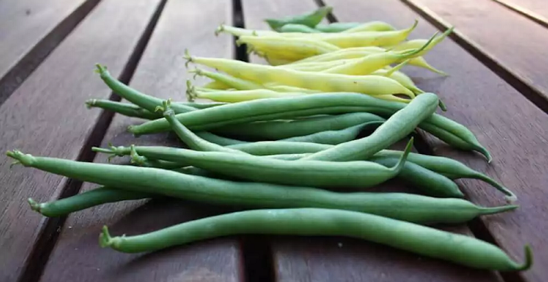 benefici e proprietà del fagiolino